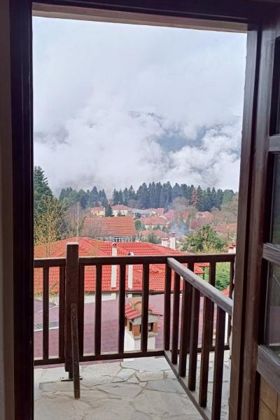 Window